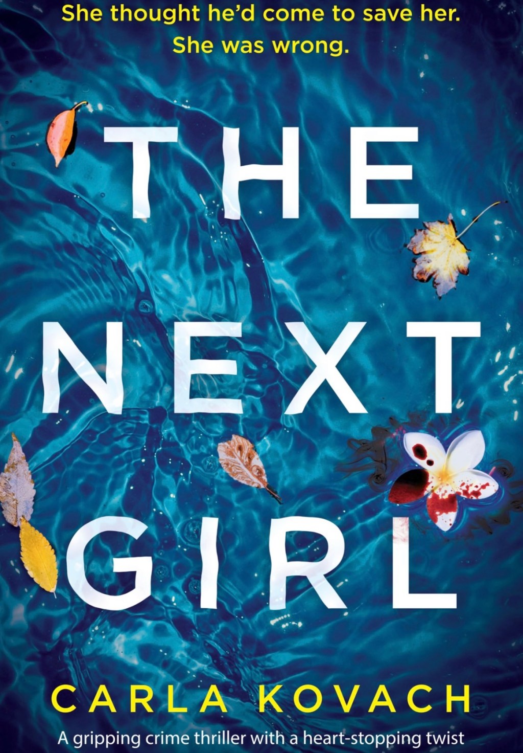 The Next Girl Book&nbsp;Review